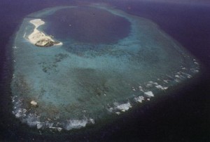 南沙群岛 - 弹丸礁图片1 Swallow Reef before