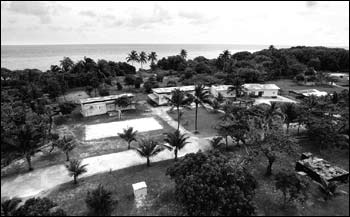 南沙群岛 - 太平岛图片10 珊瑚 Taiping Dao, Itu Aba Island